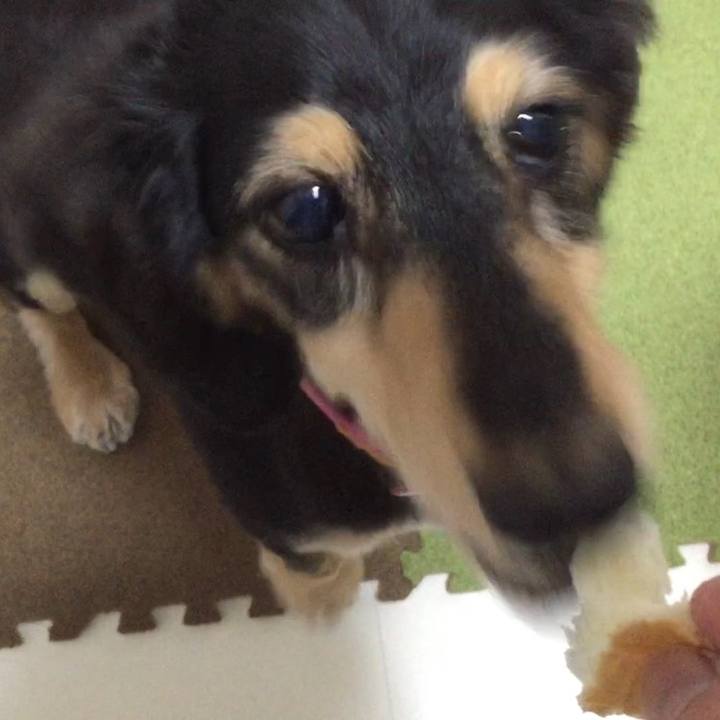 4162c458 0f60 4228 ac70 8a0df752649b 1533907993687