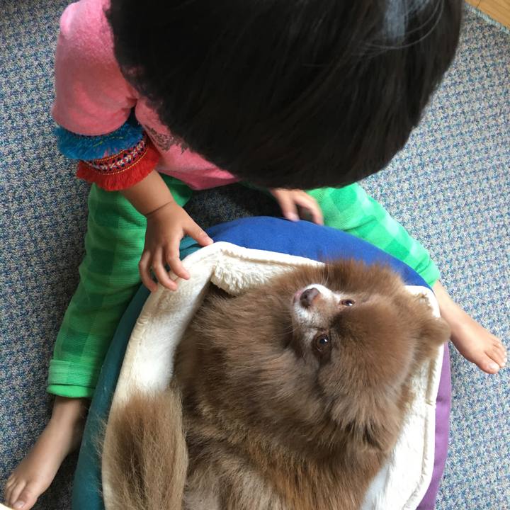 4162e032 3441 4e3e b976 fcabdf2def73 1531050516460