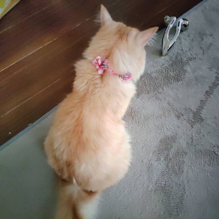 4162fcb2 d68f 4e37 9b16 2ef2f95346e0 1661982404973