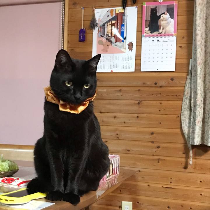 41630321 c97a 48e2 85b6 b9412c106e61 1630935394264