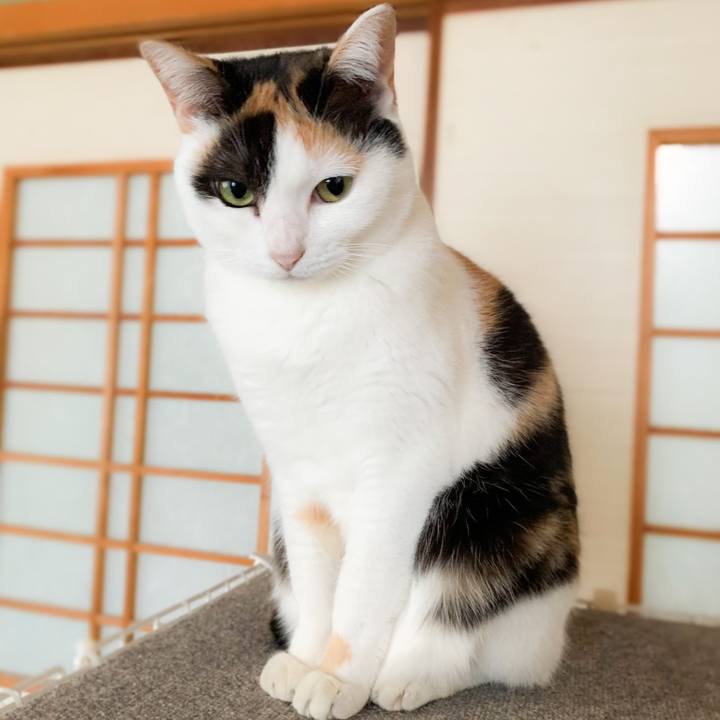 41635ecf b702 4a67 853d 75729f8d12ed 1581209563039