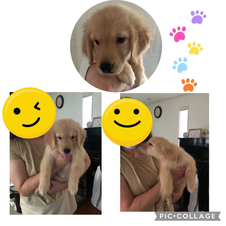 41638ae4 036f 47b0 acb7 c84a9c561f8d 1661596410766