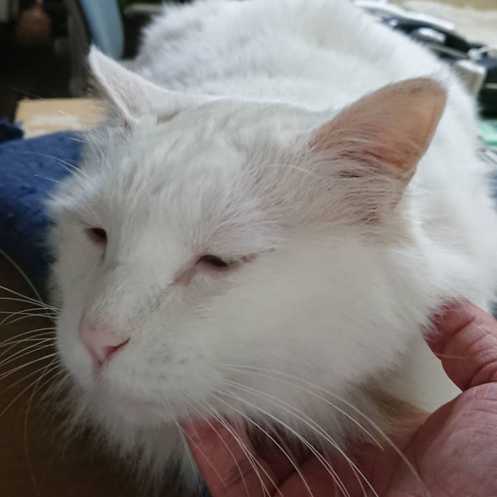 41639b9d de88 48f9 b4d1 d75af5d42573 1530138218107