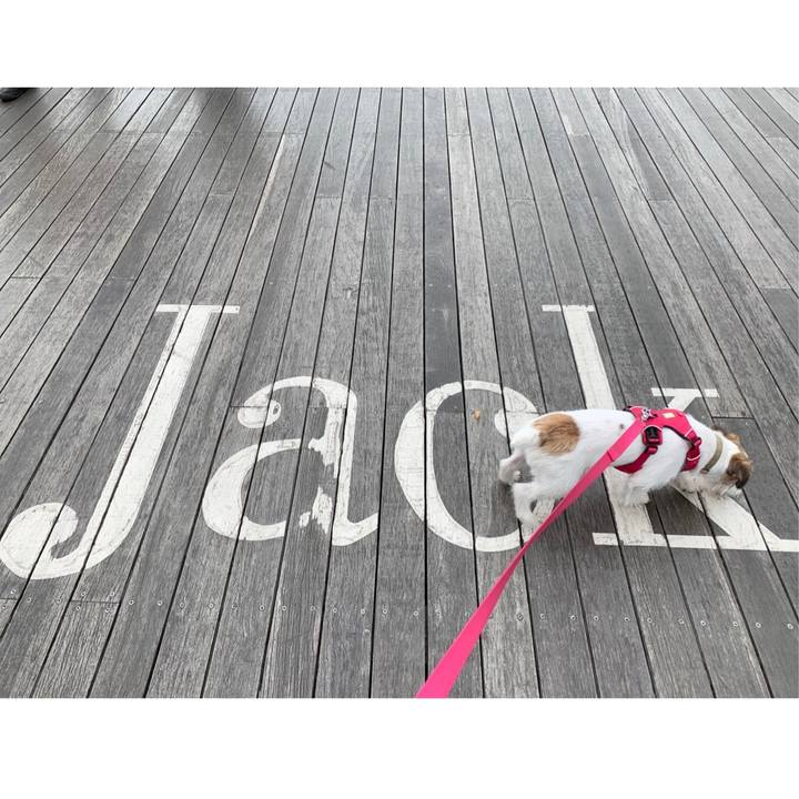 4163a39f 9e80 4d83 83fa 37a41cbdf068 1572787890020