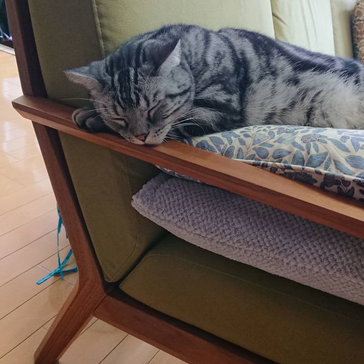 4163b2e0 9ff4 4667 88ed ab4f8fadb033 1559534454313