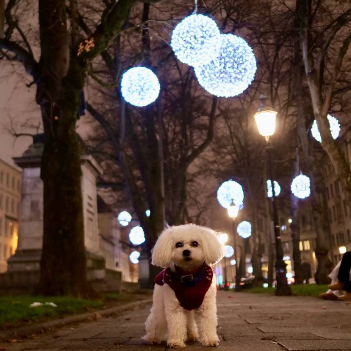 4163c61e 2b3c 434c 96a8 035d3f18a53d 1765837431435