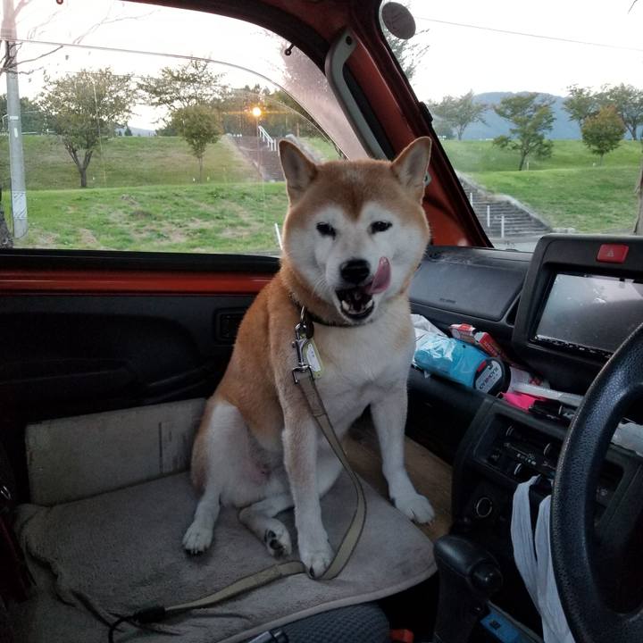 41642d98 1c19 44ba 88bf 87a68ace8e50 1664180895509