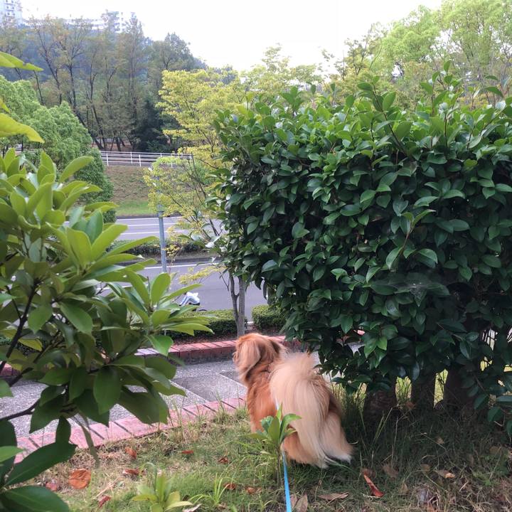 4164b7ff be15 4b60 bb26 a18bef6280d4 1533418434054