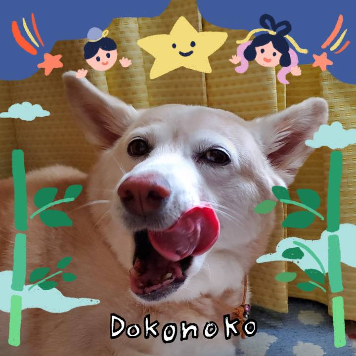 4164ccaf 6fa6 4914 87fe c05ce14f9e2c 1721159030900