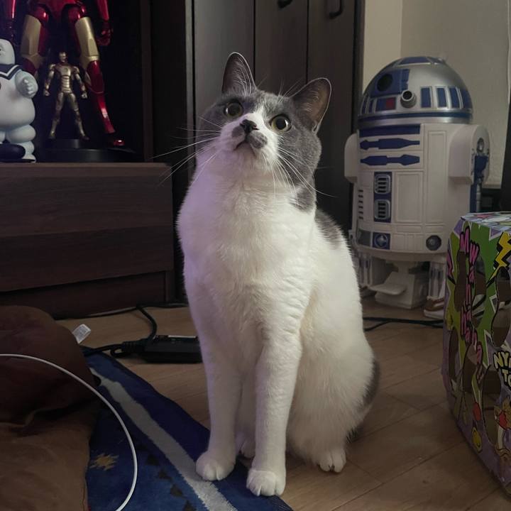 4164d12b cc57 4b47 9384 c0b7bdd9ecca 1669880598331