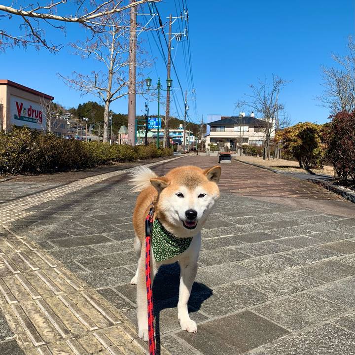 4164dda1 9cbc 4178 b3fb 34e50dec775c 1677322412241