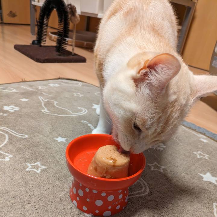 4164e3d8 82fa 4076 a21c 1dfa778a335c 1703496020740