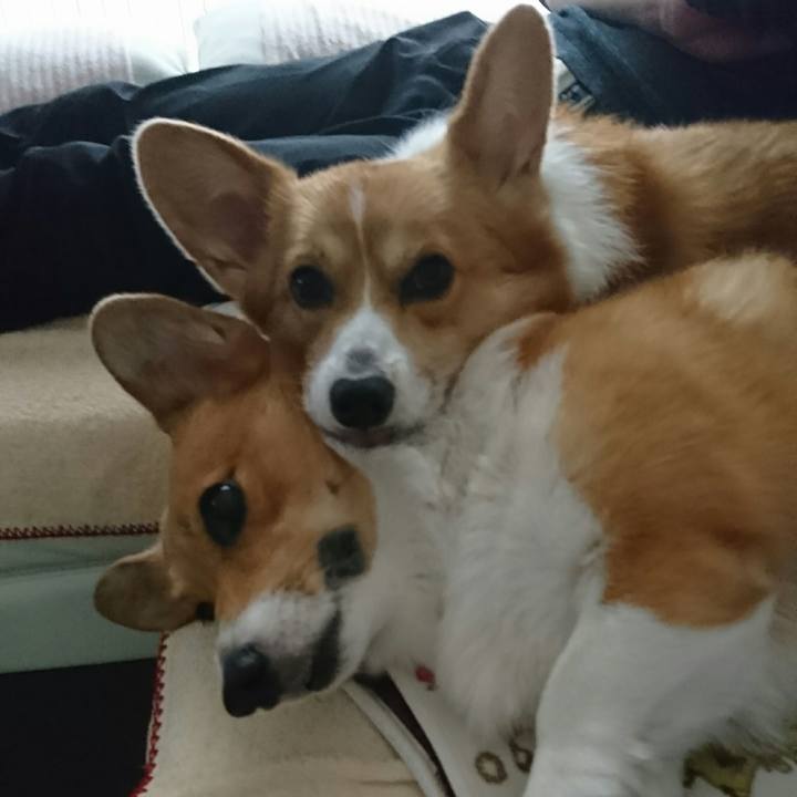 4164e68b 45de 451f 82ec 5ba451ca8203 1541303057322