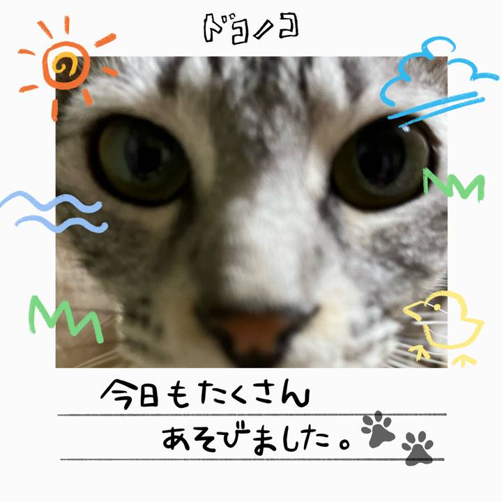 4164e7d3 d18d 4aa3 88b9 97d155c084c1 1755086134659