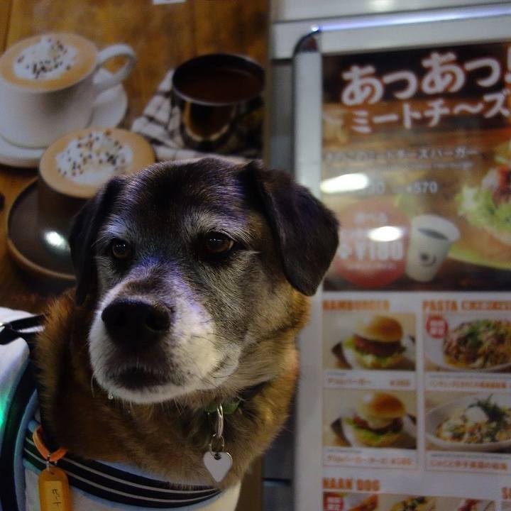 4164f280 c25a 412d 8467 92e6c611cbe9 1516016202381