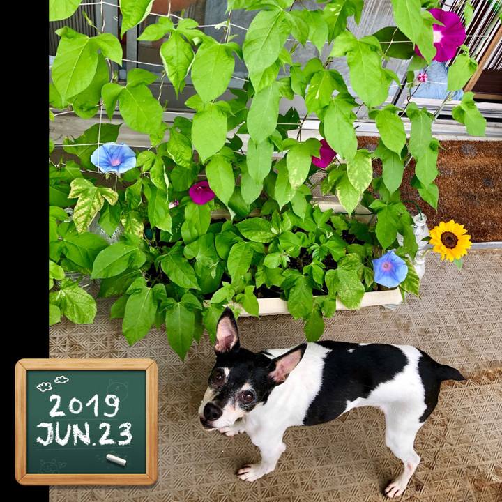 41652120 d925 4ec3 86e8 db4c3c3b87d6 1561267105876