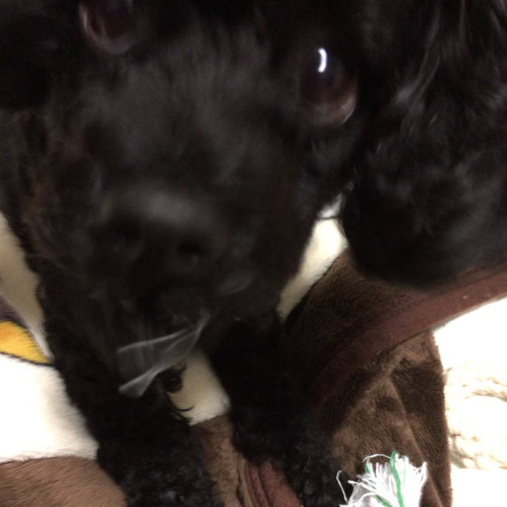 41653497 cc69 4bb5 b999 103acac0979d 1513390309951