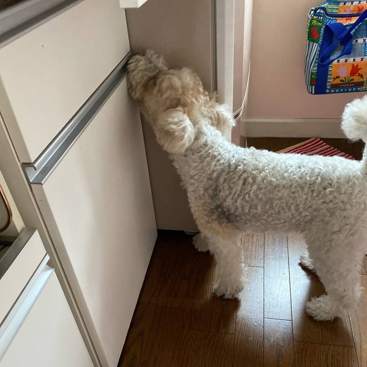 416537a0 1cfe 4ef8 a86d 8330f525b075 1589526264101