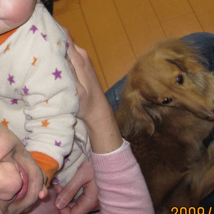 41653a95 24e3 4608 bacf c6cbeeb56122 1593297856588