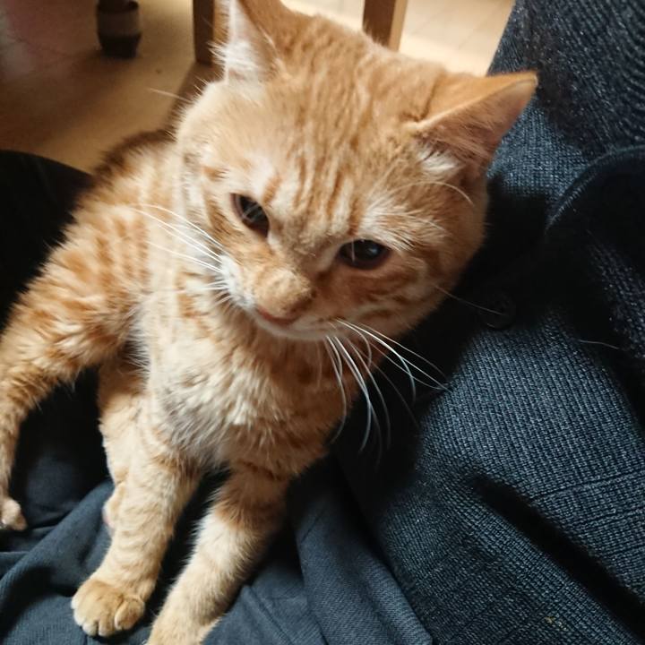 41655482 b01e 4f87 bf6b a3bdfdf565e2 1641549186704