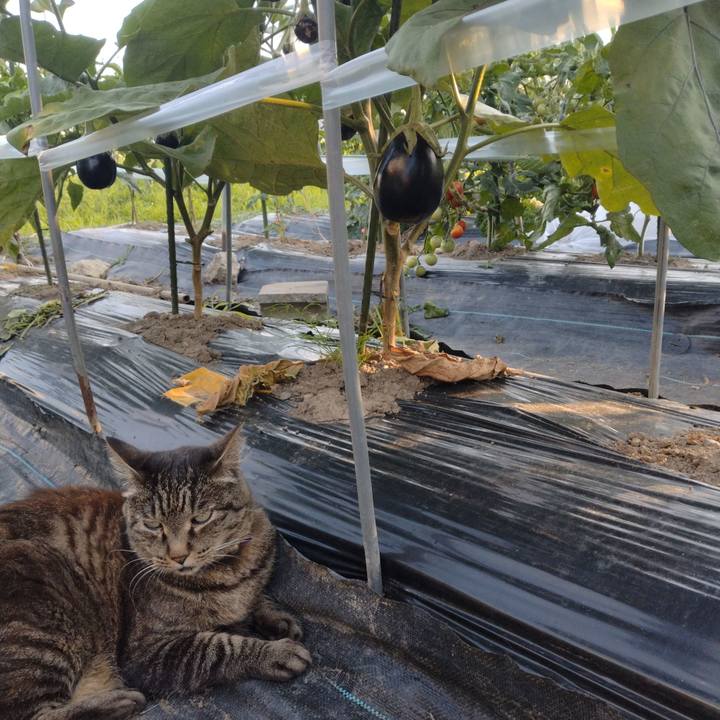 4165c26b 39a7 4f13 96f1 d2439929e440 1752398518868