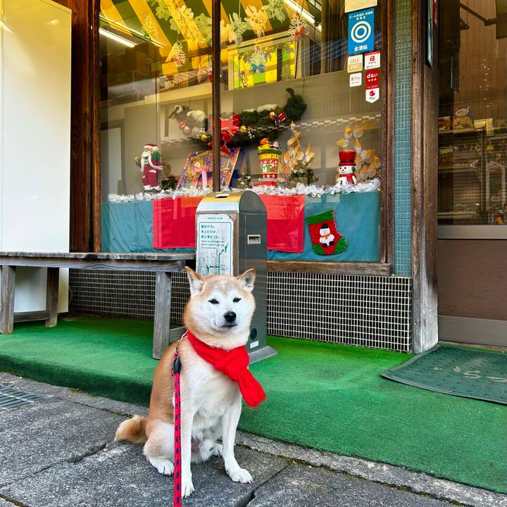 4165dfd7 5353 4efb 91d3 778b1dd26da8 1766049209523