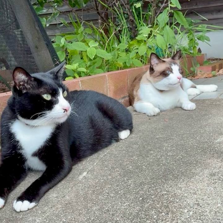 4165e33c b2b4 4e76 ab15 488933faa0b4 1755779848095