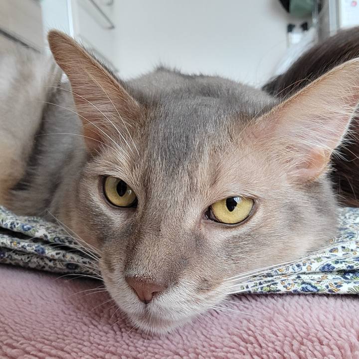 416600df 1b0e 4697 aa4c c1a37212de83 1660703236584