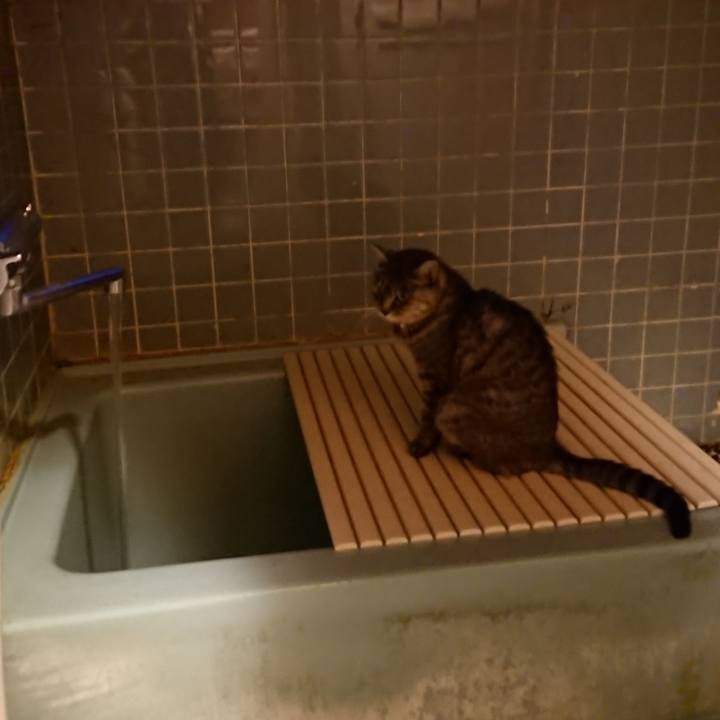 416611c1 852d 42b1 b99f eebe1b807ca7 1574496888388