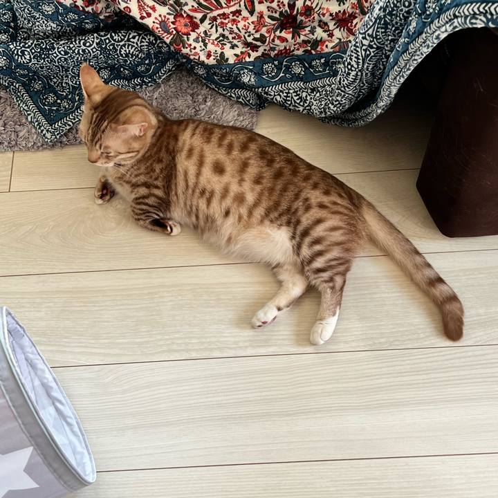 41662b5d 1a81 42ba b392 825382633af3 1683180839818