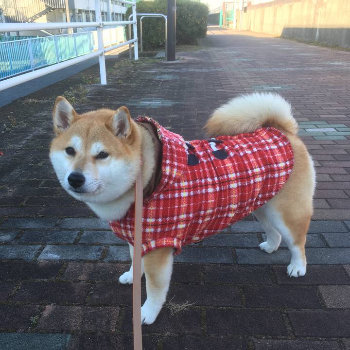 41662dfa b12b 49db 8dd4 60b3d93ed1c5 1546562858811