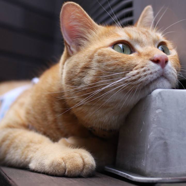 4166329a 1191 4cfd 85d3 28c17e43d558 1742861346586