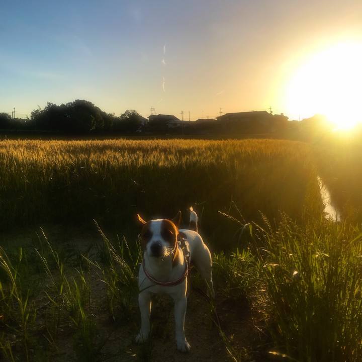 41665606 5693 4d85 9ac6 d8cd6ab710d8 1526726846726