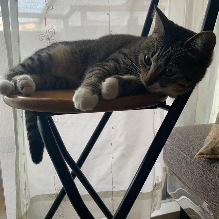 4166698f 6b0e 4d0d b052 b0d24524a2c2 1560595860495