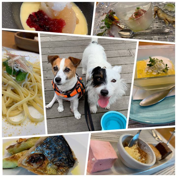 416686aa e1a2 4ff9 a41c 6347c1cd22b1 1563693232294