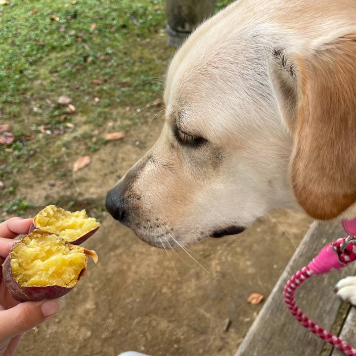 4166bda2 eb09 496b 8c66 6a2fd7aab484 1634874789710