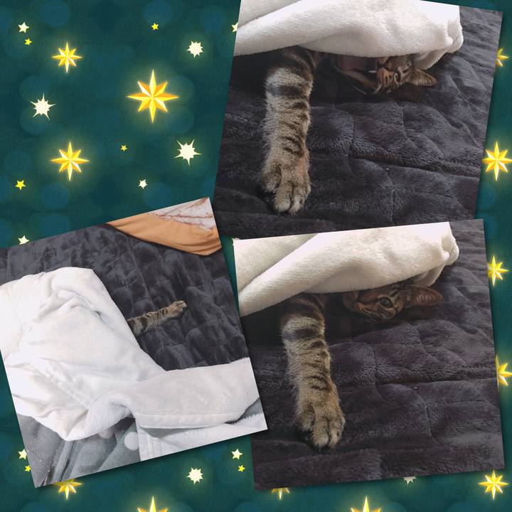 4166cee4 5007 494c 9192 e31c7818cdf6 1550464829502