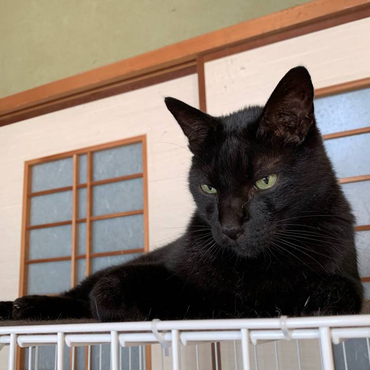 4166e2c2 5cc6 4883 b48f adf3963786f7 1602381283766