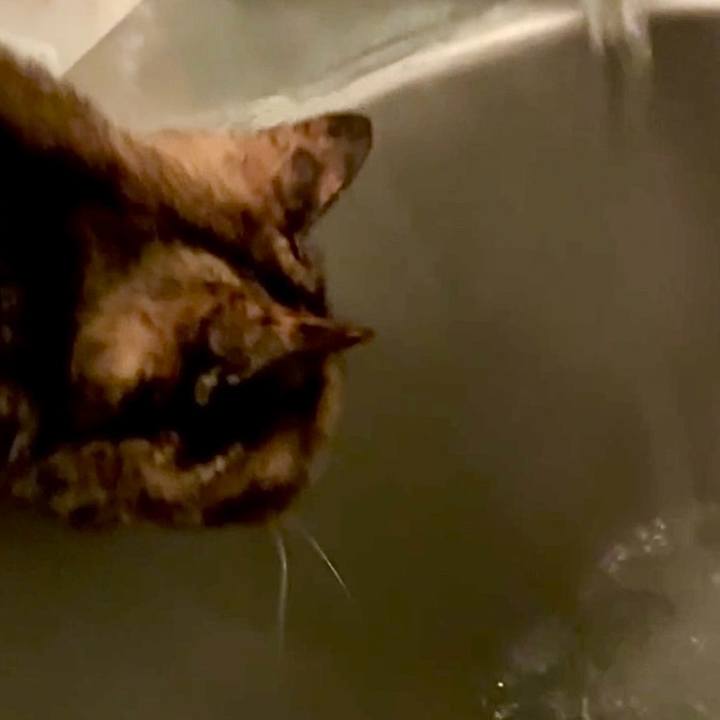 4166e898 4510 4a84 ac9e d768be7e4bc8 1765574029255