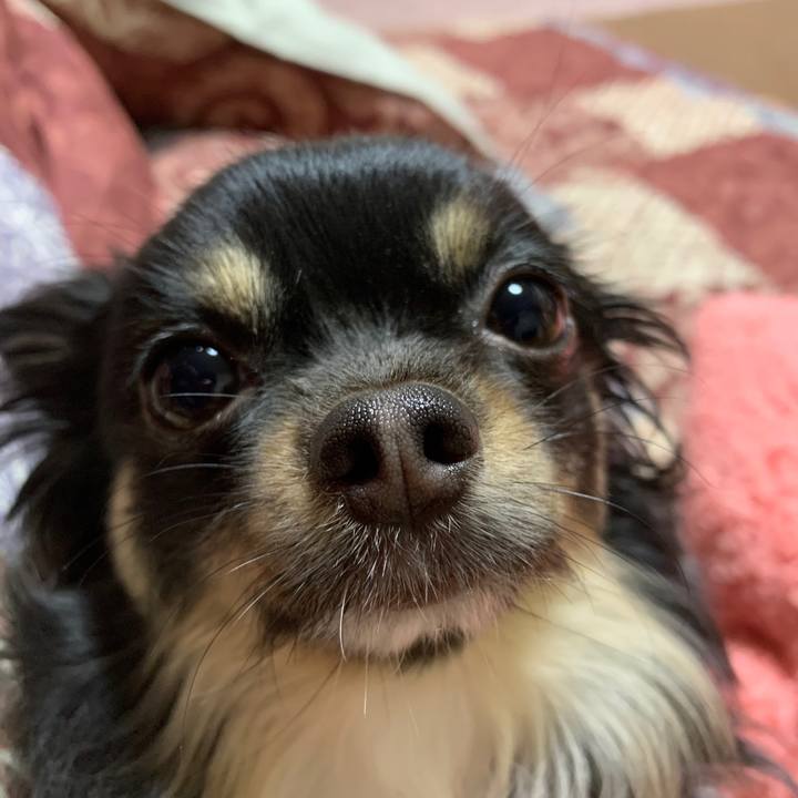 41671cb9 c6e4 477d 981c 493d9a1a89f7 1577750185336