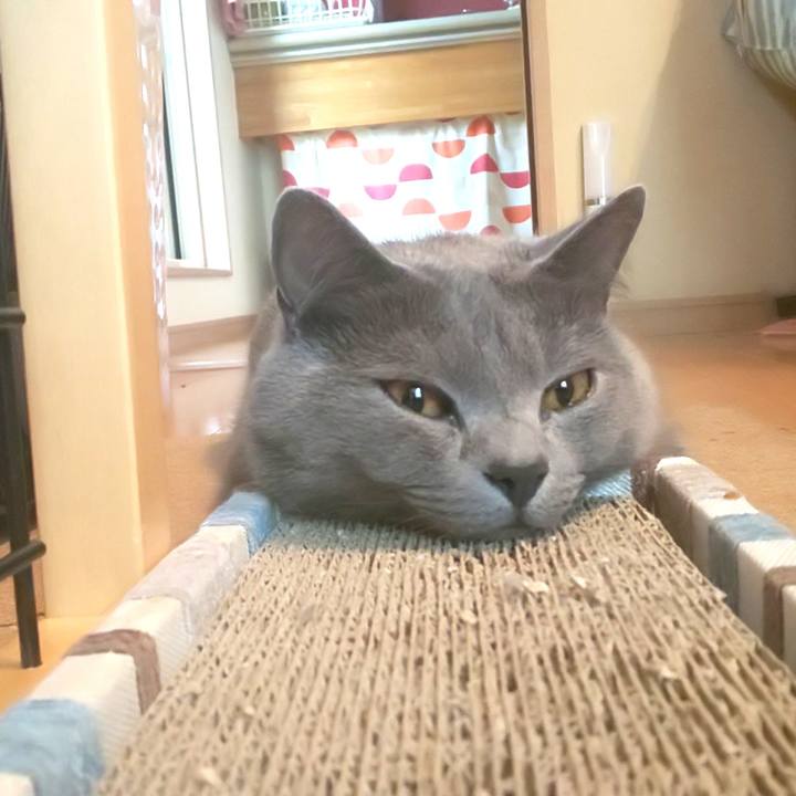 416720c5 4501 4773 892f 2defc04ae700 1593761027353