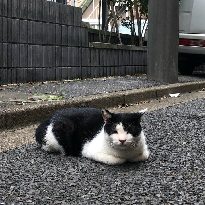 41674d23 615b 4866 bbb3 bbf4fdca141c 1633427448900