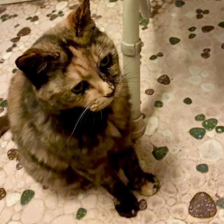 4167638b d317 4a5b b22b bcd2414cfa8e 1752013050786