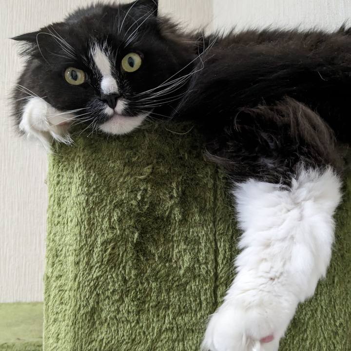 416763fa 4ea5 4f9e ad18 90e38f21adfb 1716345814642