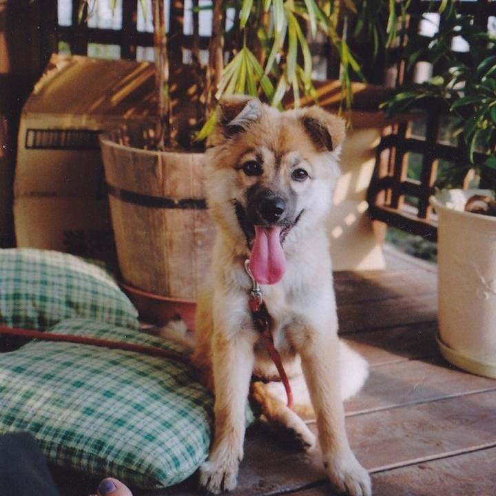 4167d5e1 efaa 4b72 9285 dbc19aa82cf7 1563958171629