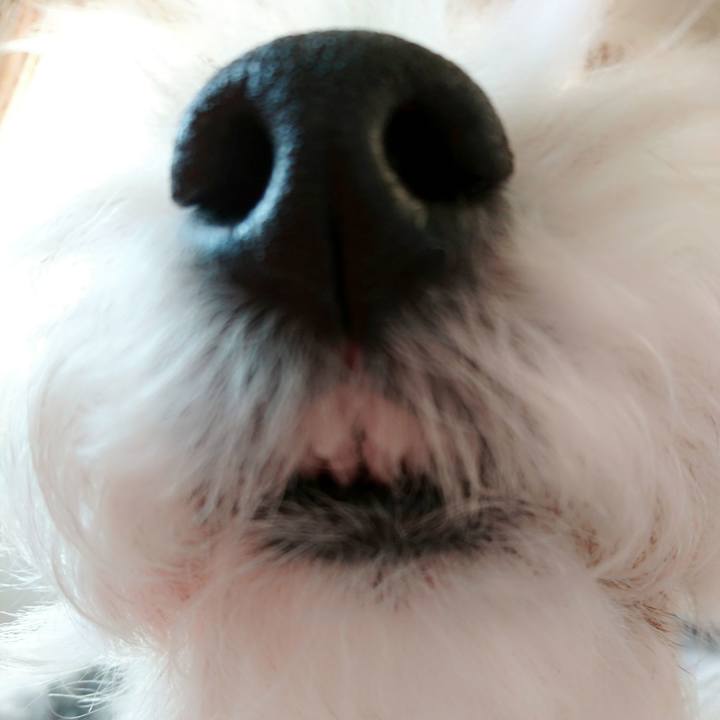 4167ecfe ba08 467f a664 3a216ac5db05 1516431316022