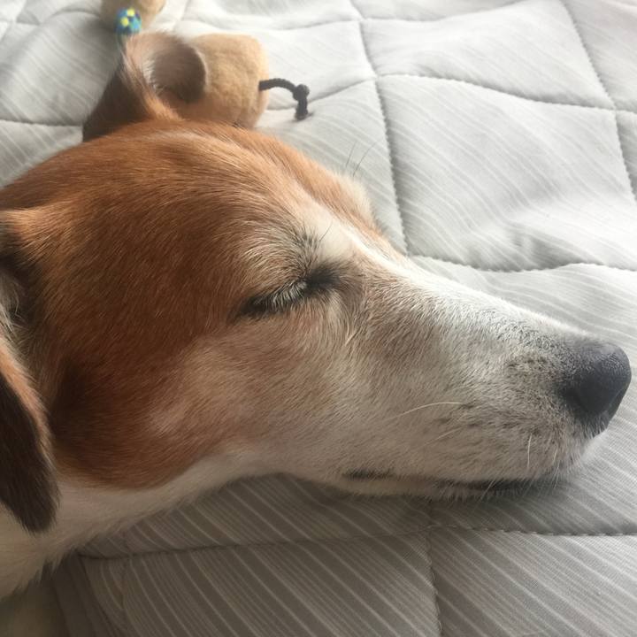 41681554 2f56 4242 b778 bb1969b9a289 1537675047382