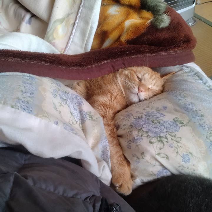 41685ac6 2203 4ecd a4c9 0d2054b2184d 1708655421451