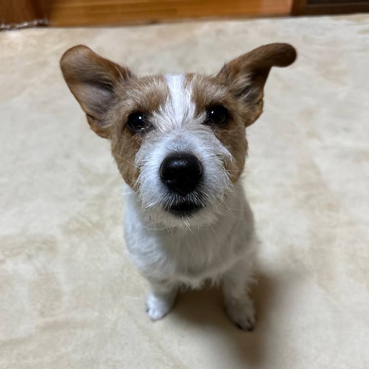 416874f6 3262 4fce 9e30 d545d0340f79 1772738000250