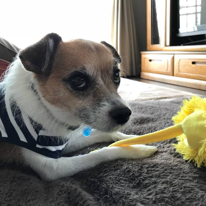 416875aa 4761 4f8b b52d 44a93e853993 1537349145324